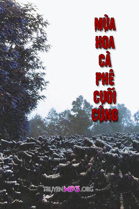 Mùa Hoa Cà Phê Cuối Cùng